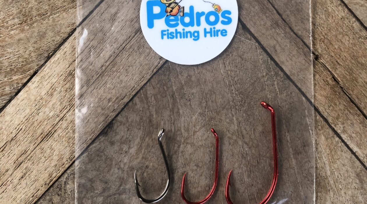 Palm Cove Fishing Rod Hire Pedro's hire and tours