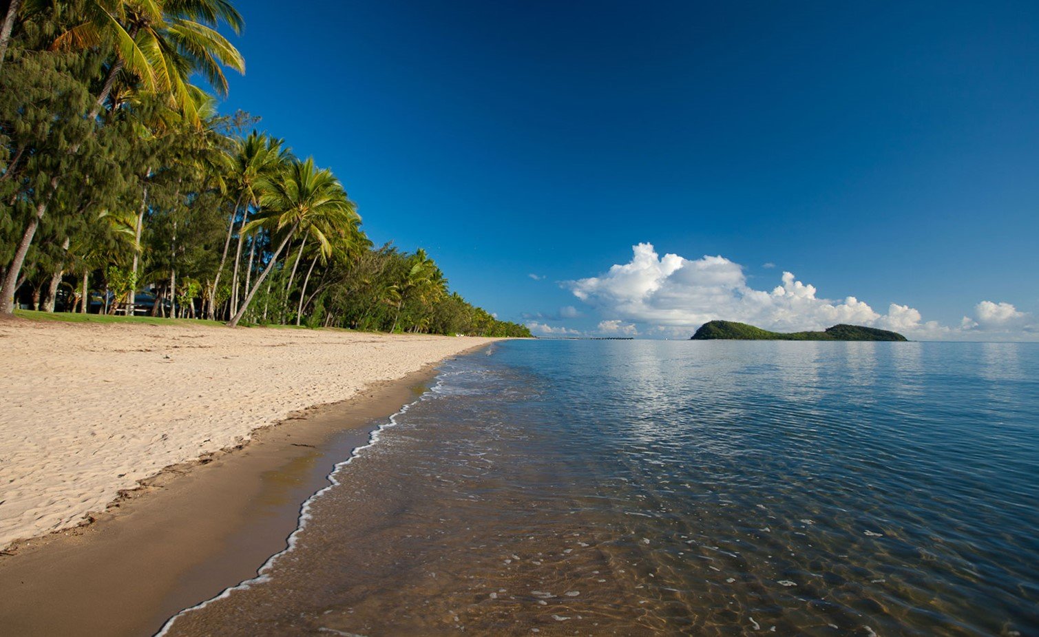 Palm Cove Self Pickup